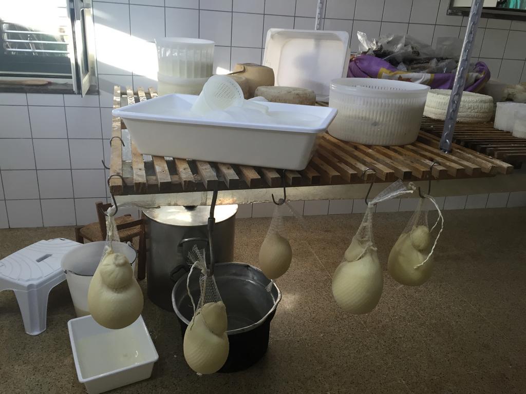 Casa Nostra Hotel Ceraso Luaran gambar